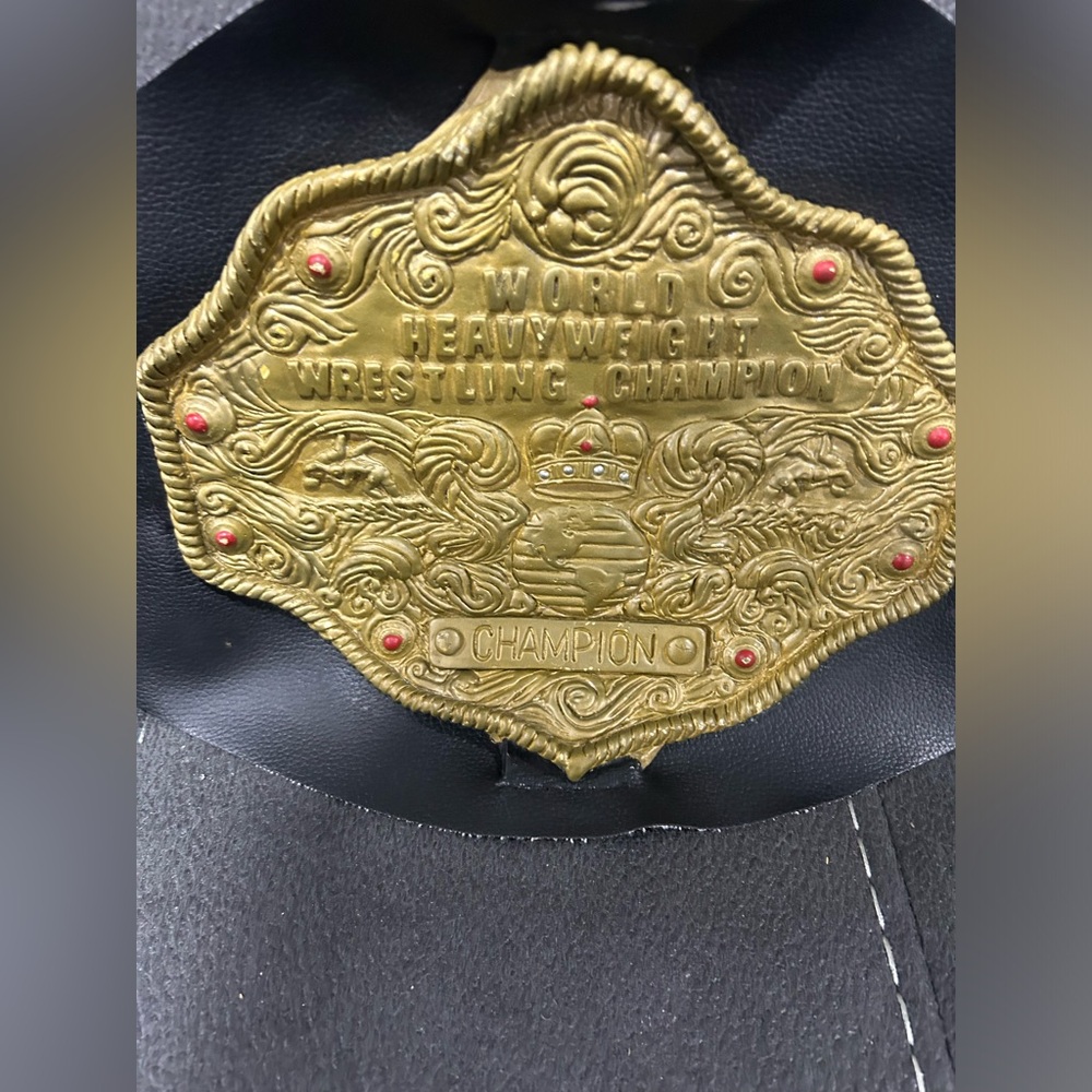WCW Halloween world heavyweight championship costume belt by Paper magic group!